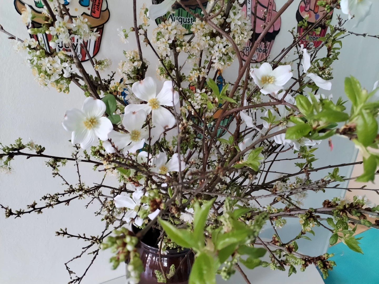 Spring at All Stars School